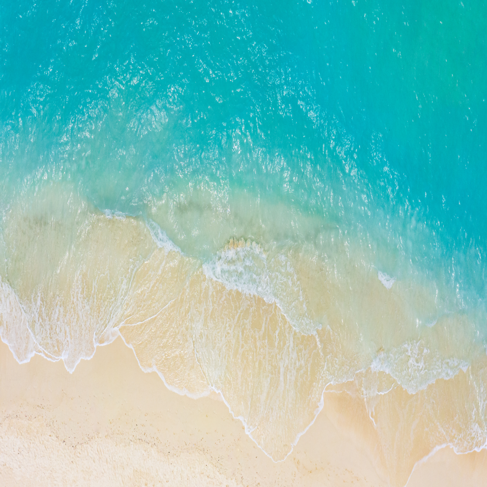 ENDLESS SUMMER SALE
