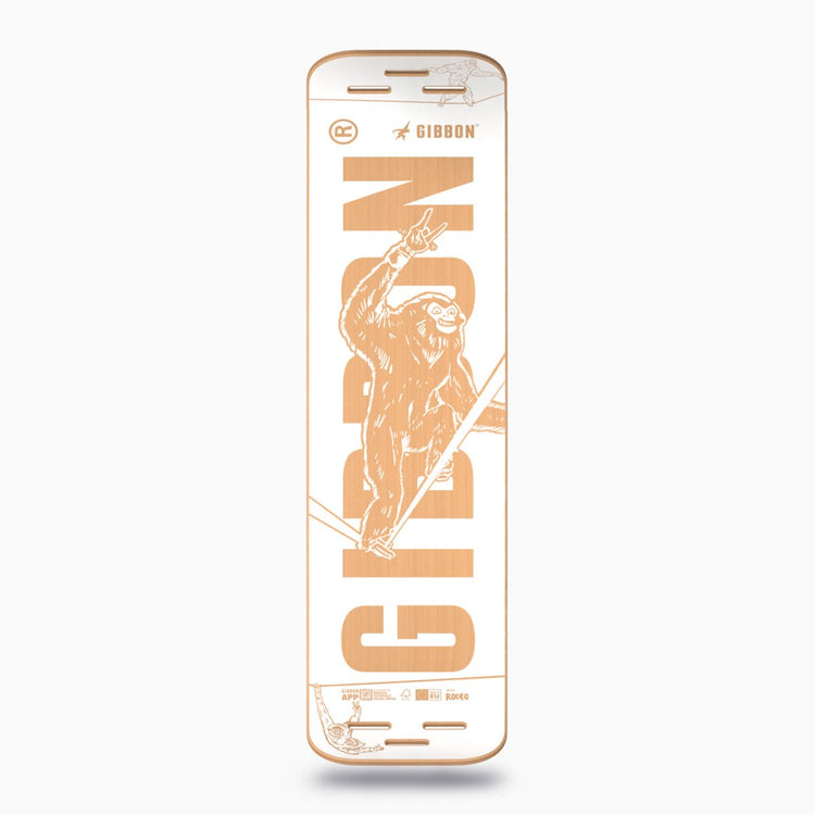 SLACKBOARD Deck - Arctic Rocker