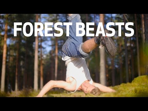 FOREST BEASTS | Slackline